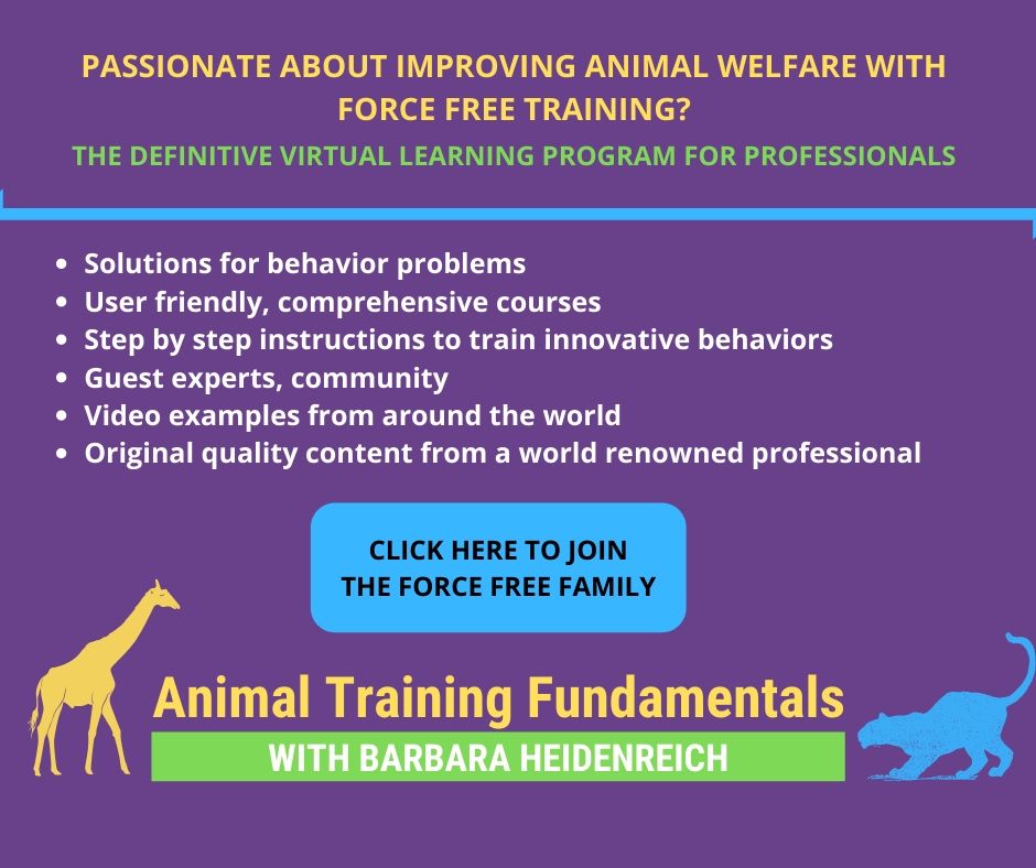Online Animal Training Program - Cat Tales Wildlife Center