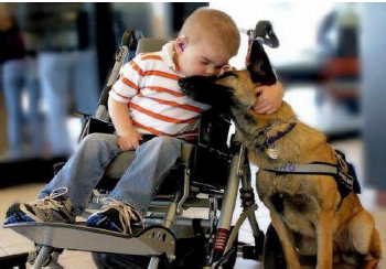A child in a wheelchair kissing a dog