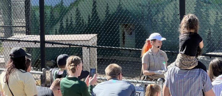 Guided tour at Cat Tales Wildlife Center