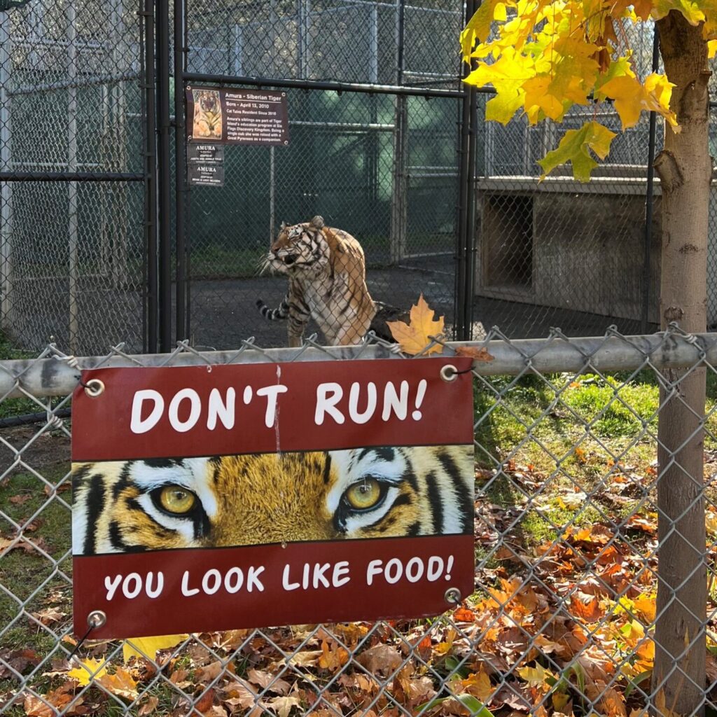 Don't Run You Look Like Food sign in front of the tiger exhibit at Cat Tales Wildlife Center