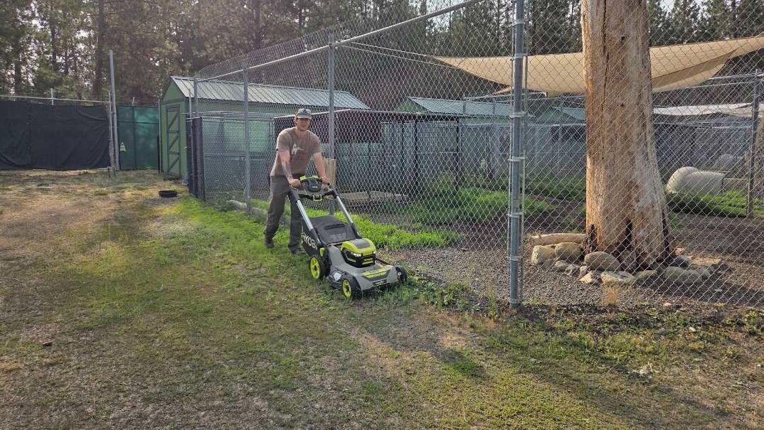 Student mowing the lawn around the exhibits at Cat Tales Wildlife Center and Academy
