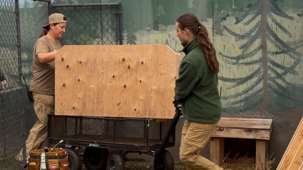 zookeepers working on a platform for the animals at Cat Tales Wildlife Center