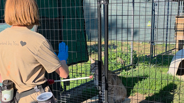 student zookeeper training a station command